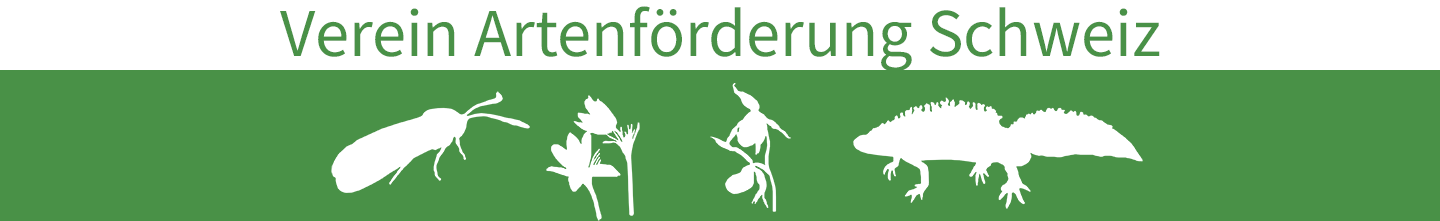 
Warning: Undefined property: stdClass::$description in /home/httpd/vhosts/hotspots-verein.ch/artenfoerderung.ch/wp-content/themes/artenfoerderung/header.php on line 31
